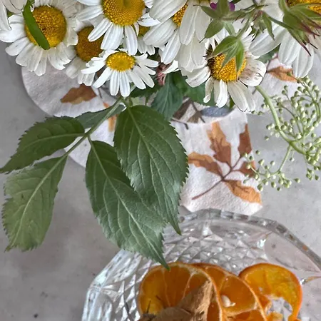 Vacanze Fra-i-cup Pt アパート アルフィアーノ・ナッタ