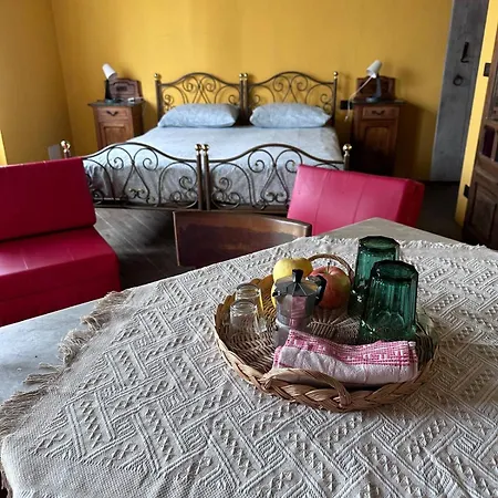 Vacanze Fra-i-cup Pt Alfiano Natta